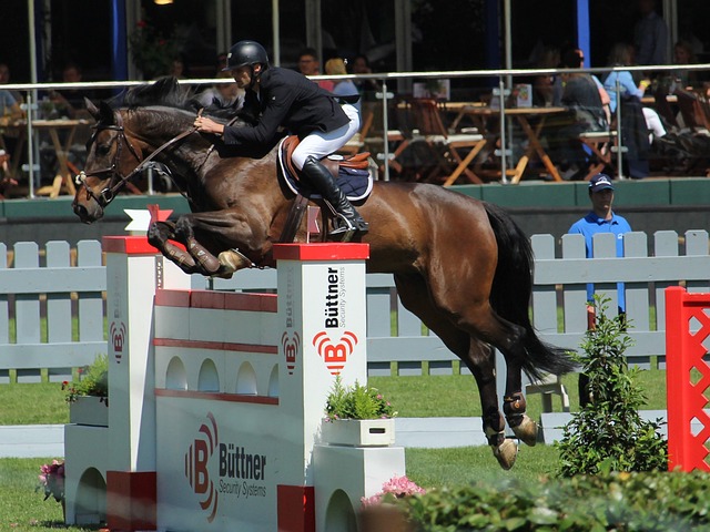 道以及加强 道以及加强