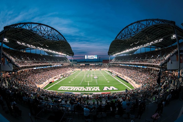 技状态的幕 技状态的幕