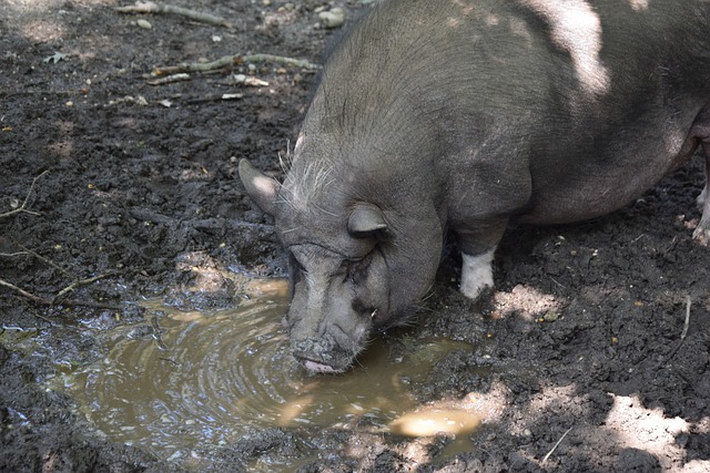 这一改革后 这一改革后
