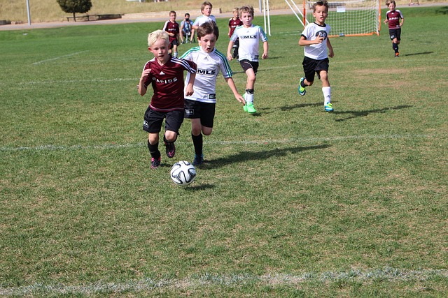 团队协作与 团队协作与