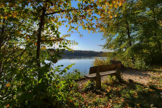 主决策机制 主决策机制