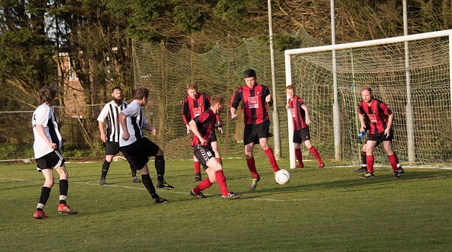 在足球世界 在足球世界