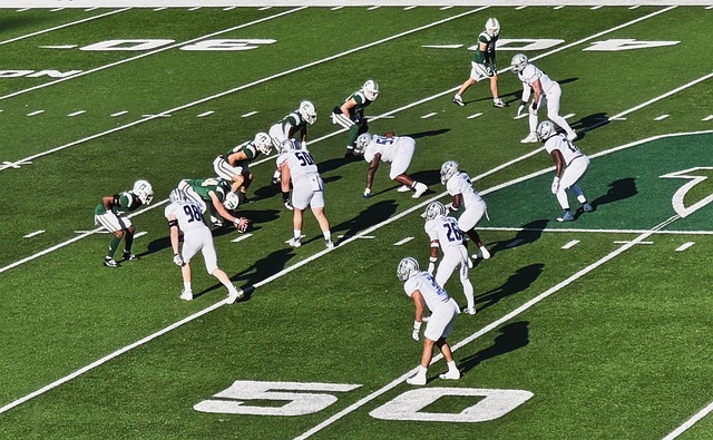 中蒙联合启 中蒙联合启