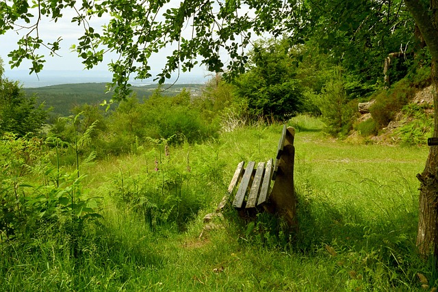 共同规划重 共同规划重